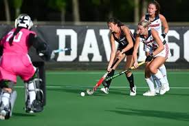 Image result for Emilia hockii