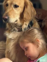 GOAT with Golden Kit 😴💝 FIFE 10 AFA mll 10 も ኦ