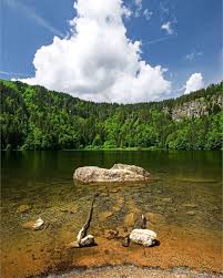 pin auf seen im hochschwarzwald