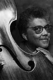 Electric violin players and upright bass players testimonials about Barbera  Transducer Systems pickups