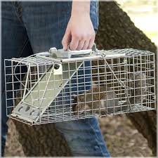 Havahart Small 1 Door Easy Set Trap 17 L X 7 W X 7 H This Live Animal Trap Is Perfect For First Time Trappers Ideal Animal Traps Live Animals Squirrel