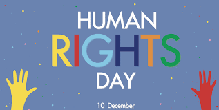 In fact, the united nations proclaimed a good share of the holidays among all of those we celebrate daily. 30 Human Rights Quotes That Celebrate Humanity 2021