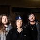 Tomorrows Bad Seeds, Vibestrong