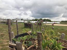 Epingle Sur Le Metier De Semencier Par La Ferme De Sainte Marthe
