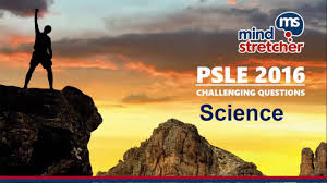 Select one or more questions using the checkboxes above each question. Psle 2016 Science Challenging Questions Unravelled Youtube