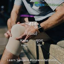 Name of all parts of human body in english and hindi with pictures. Name Of Body Parts Learn Sanskrit Open Pathshala