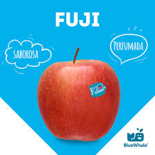 We travel to toulouse in france, to visit supplier blue whale with 5 chefs to find the perfect apple. Blue Whale Brasil Photos Facebook