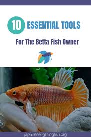 The Betta Fish Owners Toolbox 10 Tools A Betta Fish Owner Should Not Be Without Betta Fish Fish Betta