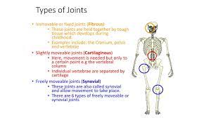 Joints And Movement Unit 4 Skeletal System Ppt Download