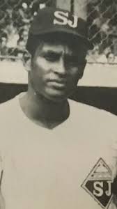 Los Todos Estrellas del Beisbol Profesional en Puerto Rico