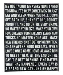 Pets At Home Jobs On Twitter Dog Quotes Words I Love Dogs