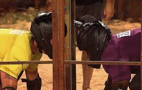 Free shipping on orders over $25.00. The Challenge Rivals Ii Season 24 Episode 2 New Girl
