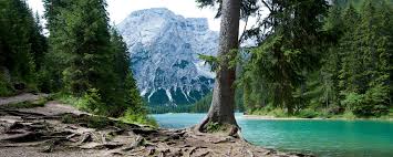 Edited to fit as wallpaper of a dual monitor setup. Nature Dual Monitor Wallpapers Top Free Nature Dual Monitor Backgrounds Wallpaperaccess