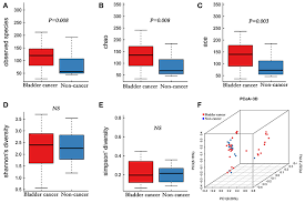 Smoking is the main risk factor for bladder cancer, and is responsible for about half of all bladder cancers in both men and women workplace exposures to certain chemicals Frontiers Profiling The Urinary Microbiota In Male Patients With Bladder Cancer In China Cellular And Infection Microbiology
