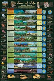 The Eras Of Life Laminated Educational Science Classroom Chart Poster 24x36