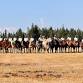 Horsemanship and Cultural Demonstrations