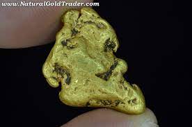 The largest nugget ever found was the welcome stranger of 2316 troy oz (74 kg). 18 05 Gram Georgia Gold Nugget
