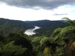 Explore auckland region holidays and discover the best time and places to visit. 50 Things To Do In Auckland New Zealand Nature Culture Food More Inspired By Maps
