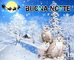 Buonanotte inverno, le immagini più belle e ricercate del web, per augurare una dolce, romantica notte, con affetto, con il cuore, speciale, spiritosa, simpatica e divertente in questo freddo inverno. Buona Notte Picmix