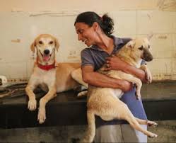 Also send a screenshot of the same to me soumya at 8527569096 so i can verify with the pets and vets. 13 Emergency Animal Helplines In Delhi Ncr Delhi Dog Adoption