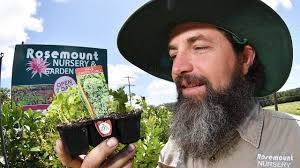 Coronavirus Sunshine Coast supermarkets