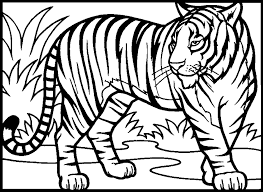Saber tooth tiger coloring pages. Pictures Of Tigers To Color Coloring Home