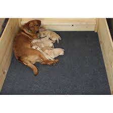 Drymate Whelping Box Liner Mat Reviews Wayfair
