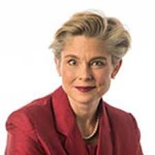 IEI Fellows Bios 2023-2024