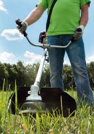 Entretenir Son Jardin Debroussailleuse Thermique 4 Temps 31cm3 Scheppach Avec Images Petits Travaux Coupe Fil Jardins