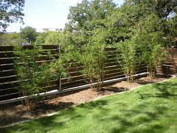Pin By Goodlife Luxury On Austin Xeriscape Ideas Xeriscape Modern Garden Landscaping Landscaping Inspiration