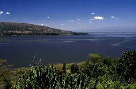 I've never really been a big fan of birds to visit lake naivasha is a total auditory experience. Naivashasee Wikipedia
