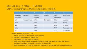 Dna coloring pages dna coloring in dna coloring transcription and translation answer key children's coloring pages on the internet provide a larger assortment of subject matter download or read: Ppt Dna Replication Practice P 69nb Powerpoint Presentation Free Download Id 563985