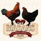 The Marans Club District 6 Meets & Egg Show at the event image