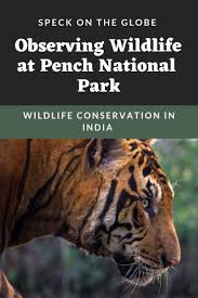 Pench National Park Wildlife Conservation In India Wildlife Conservation In India Wildlife Conservation National Parks