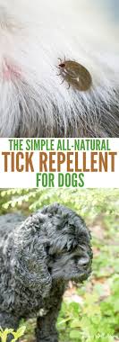 10 tropiclean natural flea & tick yard spray. The Simple All Natural Tick Repellent For Dogs With Video