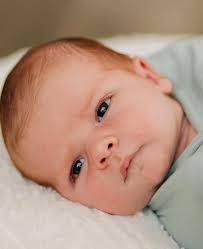 Evan Beachy (@evan_j_b_2000) • Instagram photos and videos