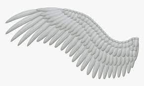 Hunderte tutorials und vorlagen für maximale kreative freiheit. Pin Angels Png Clipart For Photoshop Angel Wing Png Transparent Png Transparent Png Image Pngitem