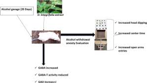 Image result for Dichrocephala