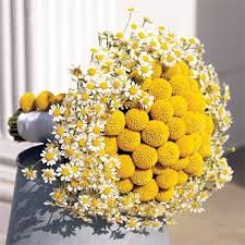 Maybe you would like to learn more about one of these? Ugly Wedding Bouquets