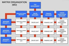 matrix structure examples definition advantages and