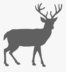 Download Deer Silhouette Svg Free Hd Png Download Transparent Png Image Pngitem
