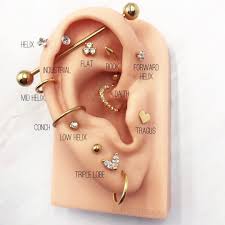 Curated Piercing Jewelry On Instagram Tell Us About Your Ear Piercing Goals What Ear Piercings Do You Have Or What Are You Getting Next Earings Piercings Ear Piercings Ear Piercings Conch