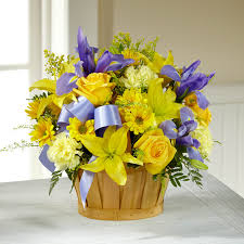 Maybe you would like to learn more about one of these? Flower Delivery New Baby Boy Online