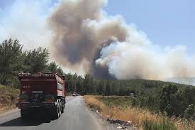 Check spelling or type a new query. Ylwuspbs1nwj9m