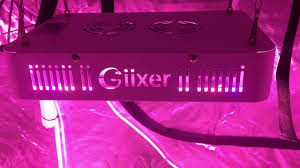 The light include red,blue,yellow,white,ir and uv which is similar to the sunshine,ideal for all kinds of indoor plants veg and flower at all growth stages. Giixer 1000w Led Grow Flower Week 4 Youtube