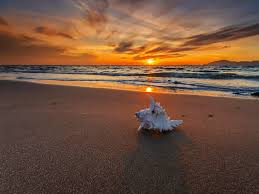 Hawaii sunset beach wallpaper free. Beautiful Sunset Wallpaper Beach Apessoaescreve