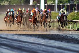 None of the trainers from saturday's kentucky derb. Kentucky Derby 2017 Results Full Finishing Order For Run For The Roses Sbnation Com