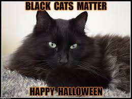 I am once again getting laughed at by a cat while i sit on another cats head. Black Cats Matter Imgflip