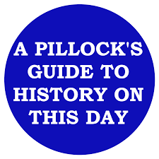 Image result for pillock