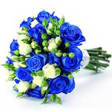 We did not find results for: Something Blue Same Day Flower Delivery London Uk